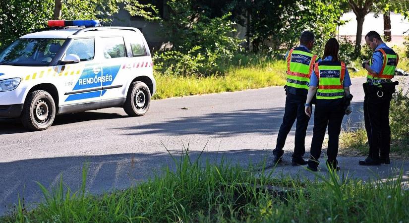 A bokorban bujkálva várt áldozataira a vérszomjas gyilkos, megrázó részletek derültek ki a dermesztő tragédiáról
