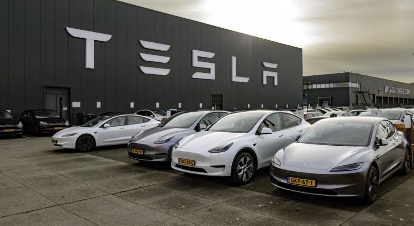 Továbbra sem kell a Tesla a kutyának sem: borzasztó számokat közölt Elon Musk cége