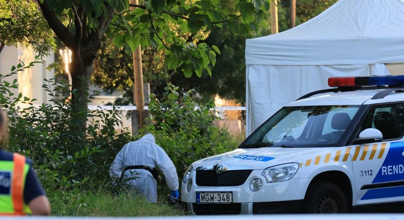 Imádta a késeket a bácsalmási ámokfutó - Szerelemféltés miatt ölhette meg kedvesét Félix