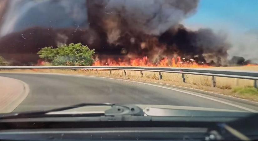Hatalmas lángokkal égett a növényzet az M1-es autópálya mellett - fotó, videó