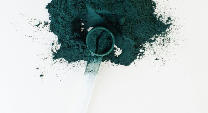 Spirulina kutyáknak: mire jó, hogyan adagoljuk?