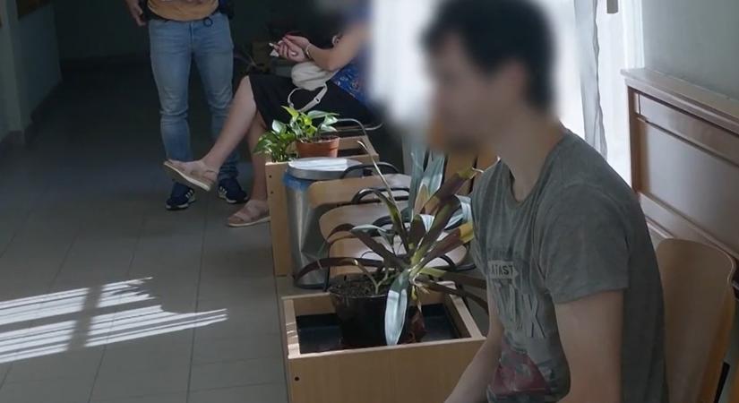 Fűrésszel próbálta levágni mozgáskorlátozott húga fejét egy kisvárdai férfi – videó