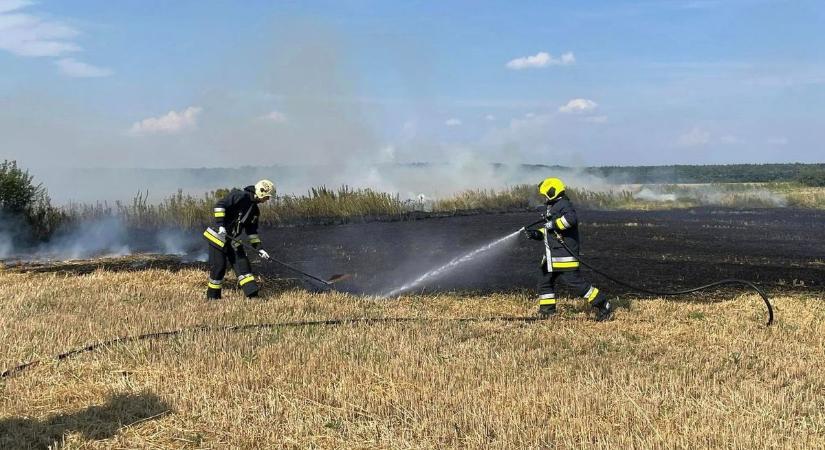 A kánikula és a szárazság meghozta az eredményét – Hevesben két település mellett is lángolt a növényzet
