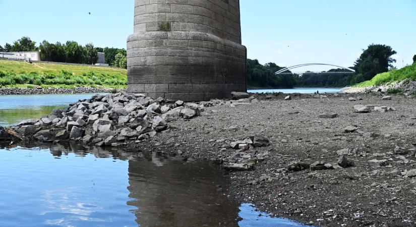 Apad a Tisza! Rekord alacsony vízszintet mértek a szőke folyónál