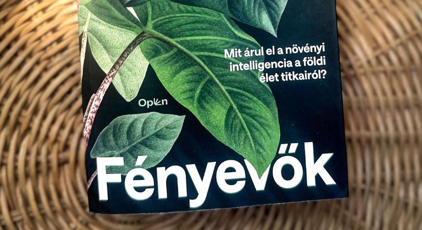 Egy intelligencia, amiről nem veszünk tudomást