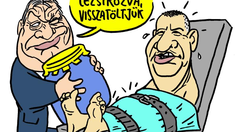 Hol zsírjaink domborulnak