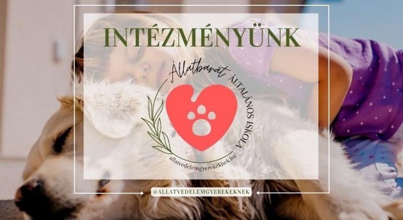 Az ön iskolája állatbarát? Mert a sajószentpéteri mostantól az!