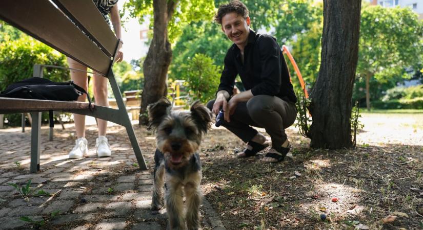Szőrös gyermeke lett a győri Batman magyar hangjának - fotók, videó