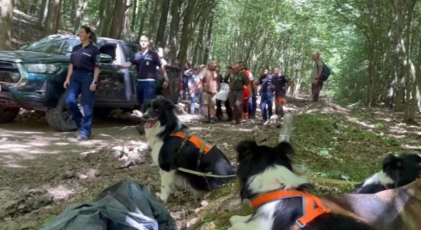 Csoda, hogy élve megtalálták a Bükkben eltűnt idős túrázót - videóval