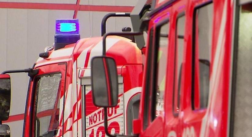 Macska helyett ezúttal egy nagyon részeg magyar férfi ragadt fent a fán Ausztriában