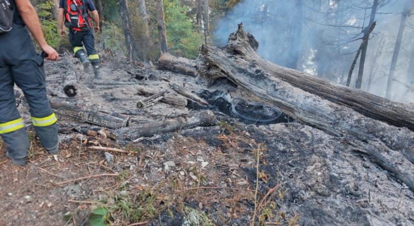 Erdőtűz ütött ki Máramaros megyében – Helikoptert is bevetnek az oltásban