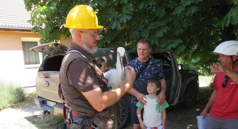 Különös akció a magasban, volt, aki menekülni próbált