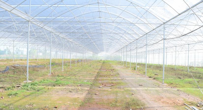 Az agrártámogatások 42%-át tavaly épületekre és építményekre fordították