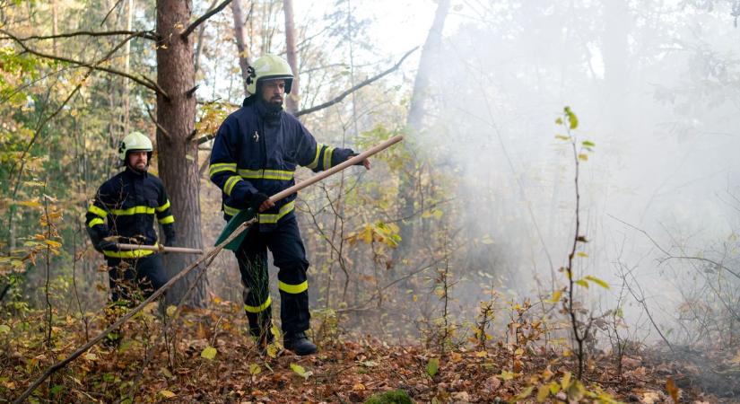 Húszhektáros területet perzselnek a lángok, több egység is a helyszínre sietett
