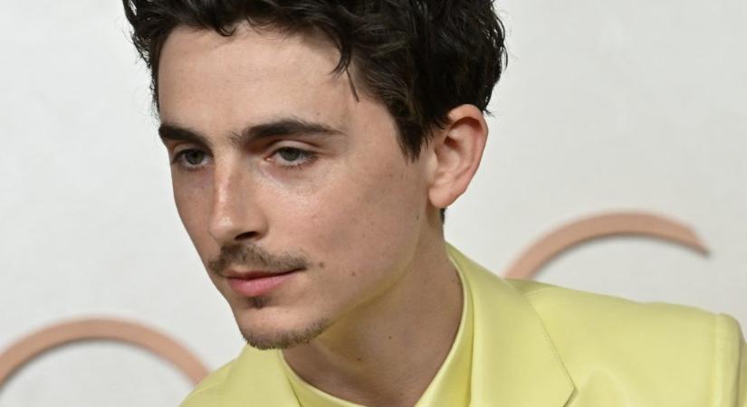 Timothée Chalamet, Demi Moore és Miley Cyrus is csillagot kap a hollywoodi Hírességek sétányán