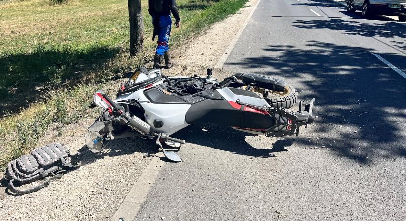 Őz ugrott motorosnak Algyőnél