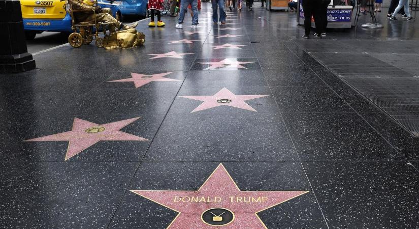 Csillagot kap Timothée Chalamet Hollywoodban