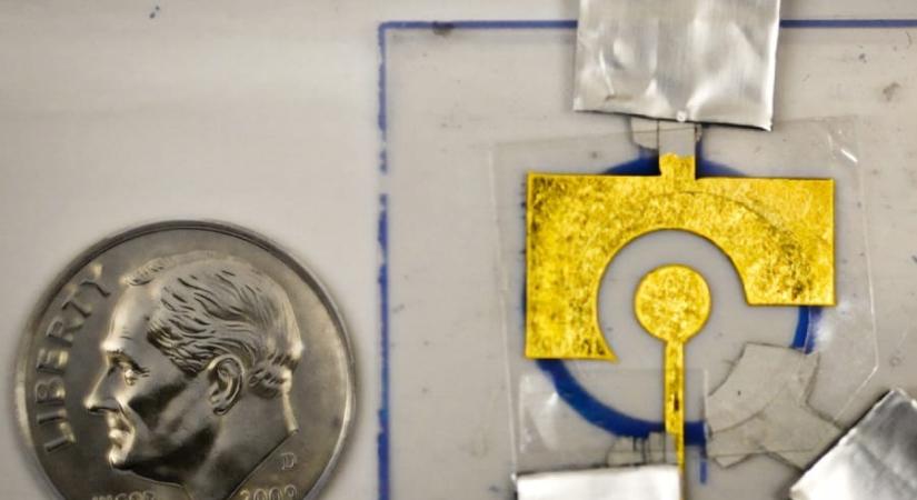 170 forintból képes otthon kimutatni a rákot, HIV-et egy új DNS-teszt