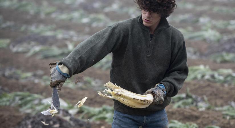 Fiatalok az agrár-élelmezési szektorban a FAO kutatása szerint