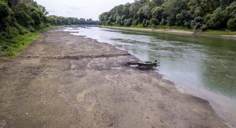 Negatív rekordot döntött a Tisza