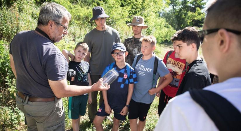 Tücsköt-bogarat néznek, s még sérült mókust is etetnek (galéria, videó)