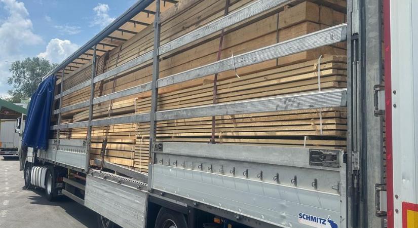 Illegális fenyőfa exportot akadályoztak meg a kárpátaljai vámosok