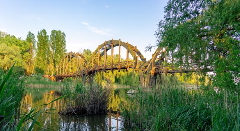 Szenzációs hír érkezett: így újulhat meg páratlan természeti kincsünk, a Kis-Balaton