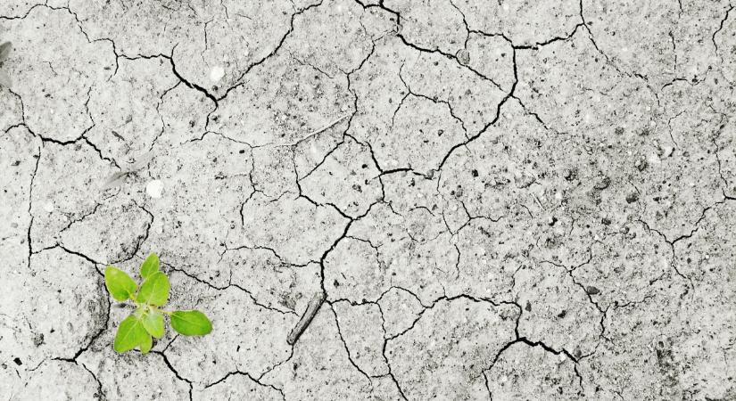 A magyarországi vízhiány már az űrből is látszik – így néz ki