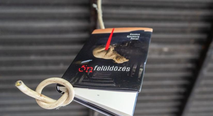 Az ökológiai válság nemcsak külső fenyegetés, de belső elidegenedés kiváltója is lehet