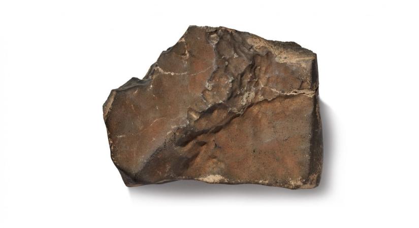 1,4 milliárd forintért kelhet el a legnagyobb ismert marsi meteorit