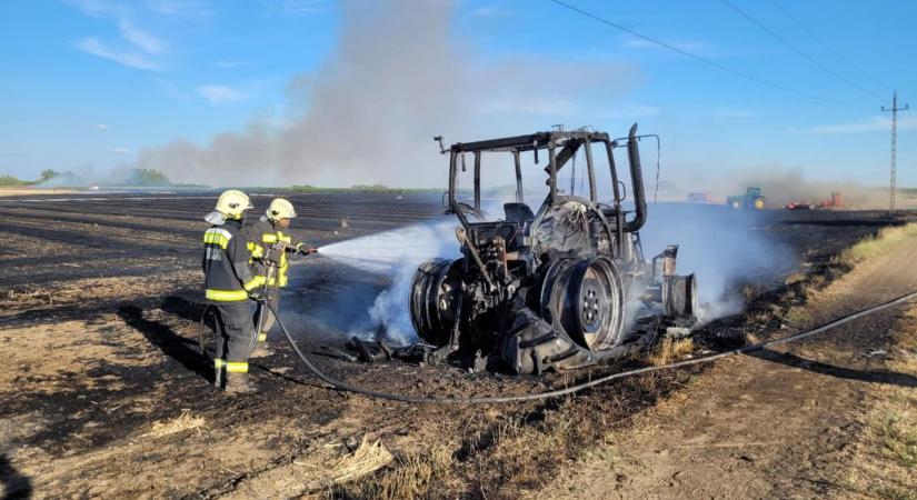 Tombolnak a szabadtéri tüzek, szándékos gyújtogatás állhat a háttérben – galériával