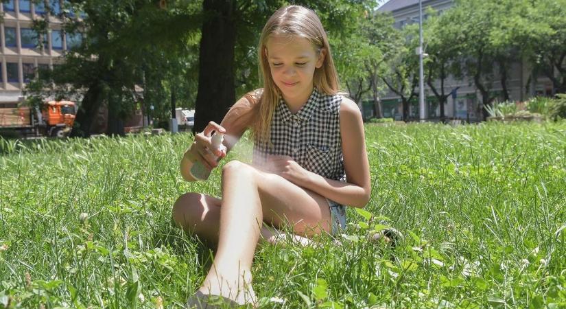 Harapással juttatja beléd a fertőzött gyomornedvet, mindenhol ott van ez a veszélyes rovar