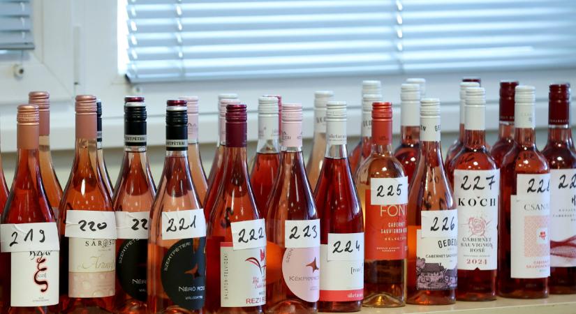 Letartóztatták egy ismert szekszárdi borászat vezetőjét költségvetési csalás miatt