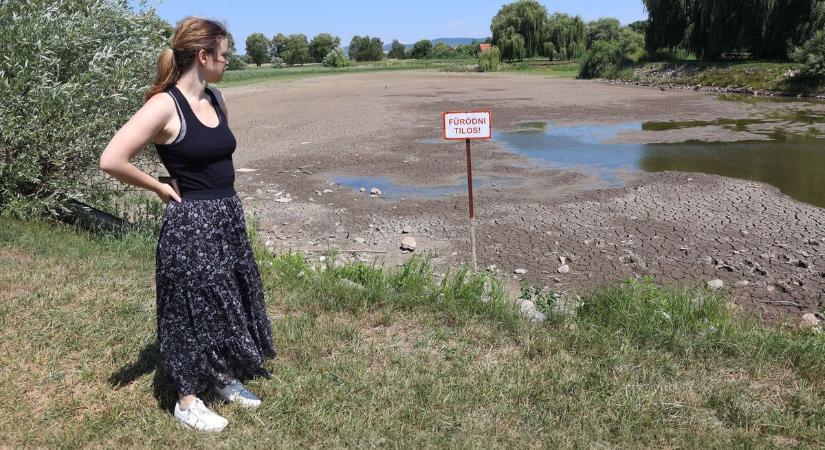 Brutális a szárazság Somogyban: szenvednek, sorban száradnak ki a fák