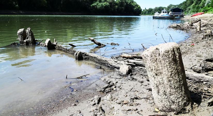 Ezt közölték a szakemberek a Tisza vízállásáról