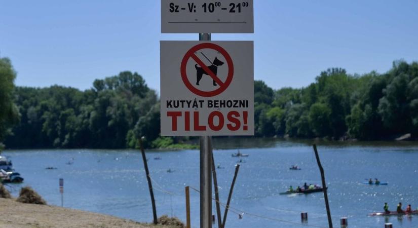 Ingyenes nyári paradicsom Szegeden: megnyílt a megújult Sárga strand