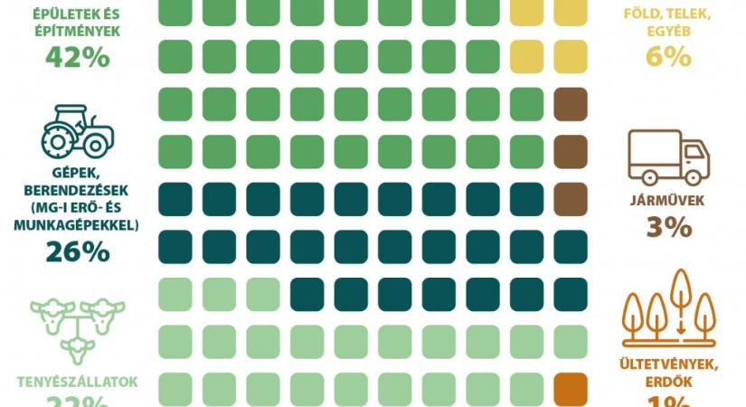 A mezőgazdasági beruházások 42 százalékát épületekre és építményekre fordították 2024-ben