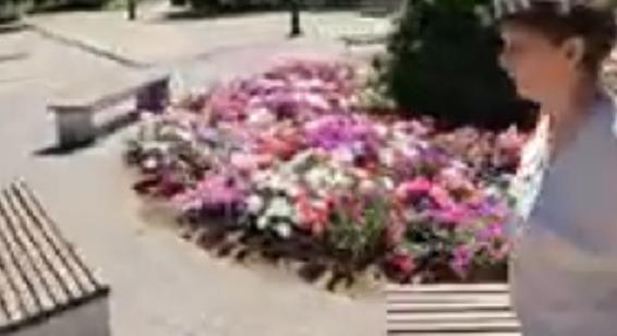 Megújult Kaba városközpontja – közösségi tér lett a főtérből, zöld sétány és kondipark a fiataloknak