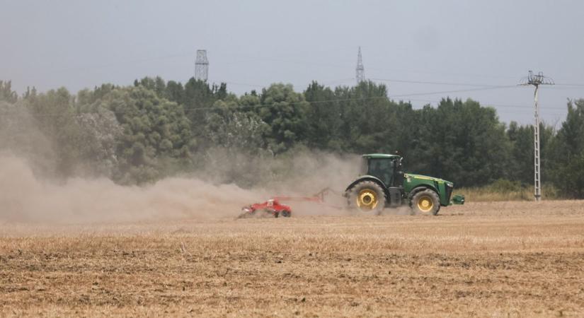 Kéthavi csapadék hiányzik Győrben