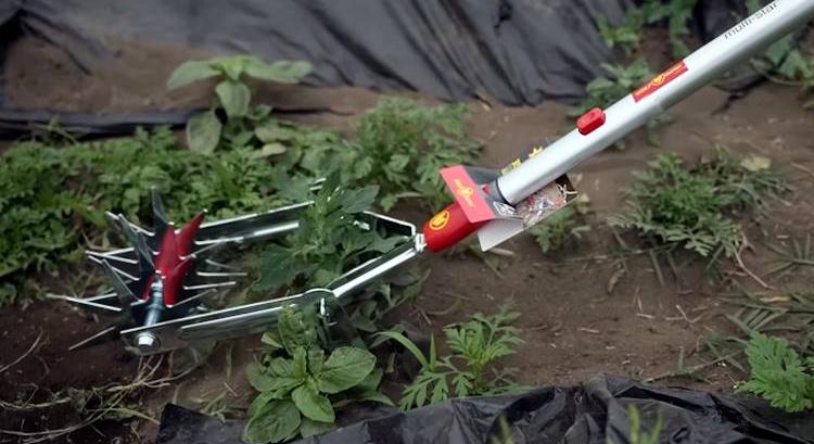 Teszteltük a WOLF-Garten kertészeti eszközöket a gyümölcsösben