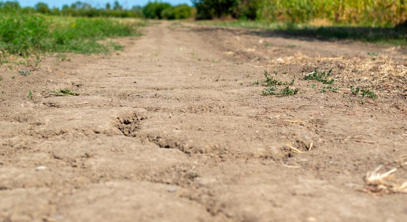 Minden rekordot megdöntött a júniusi szárazság – volt, ahol semennyi csapadék nem esett