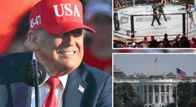 Donald Trump bejelentette, hogy a UFC a Fehér Háznál rendezhet gálát hamarosan
