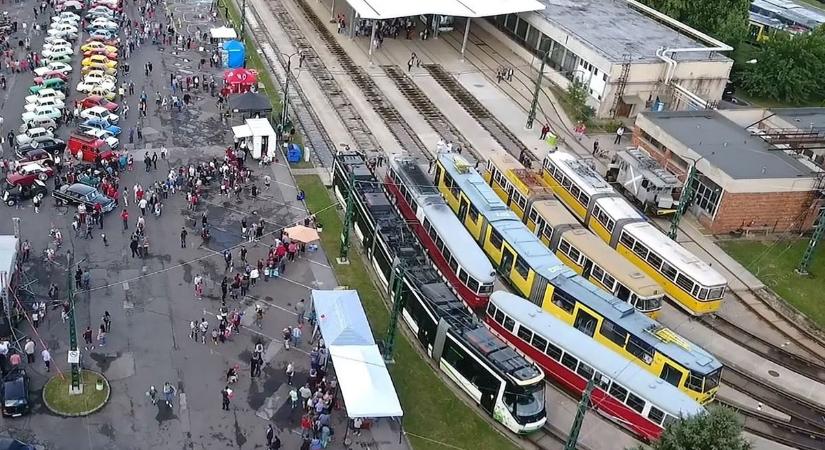 Így dorombolt a bengáli „tigris” az MVK telephelyén - videó