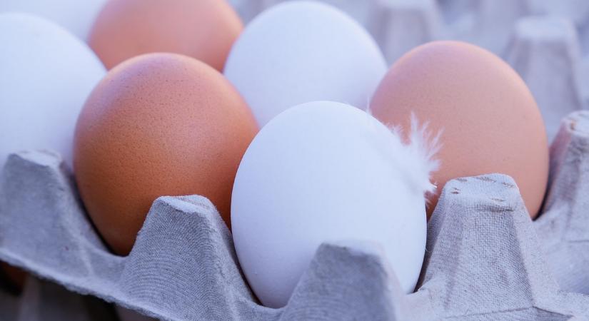Drágul a tojás, ilyen árakra számíthatnak a vásárlók