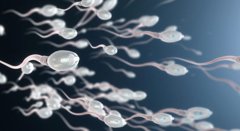 Tizennyolc évig nem jött össze a gyerek, aztán segített a mesterséges intelligencia