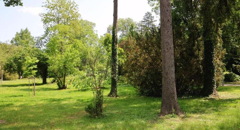 Mezőkövesdi parkban igazoltatták – a nő egy különös műanyag tojást húzott elő a ruhája alól!