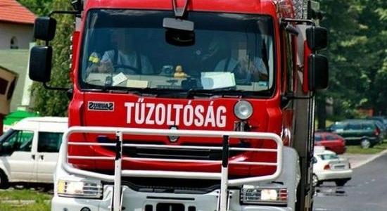 Parkoló autóra dőlt egy nagy méretű fa Mártélyon