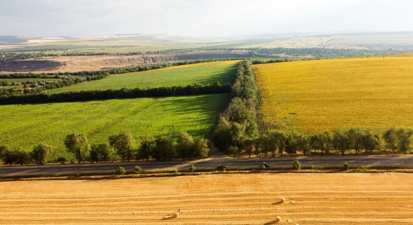 Természetes megoldásokkal a víz megtartásáért