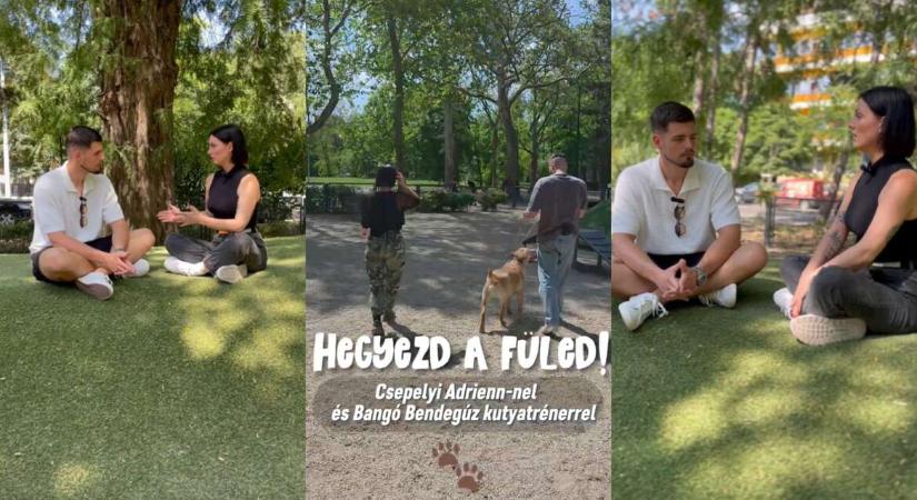 A kutya egészsége nem úri huncutság! – Hegyezd a füled! (videó)
