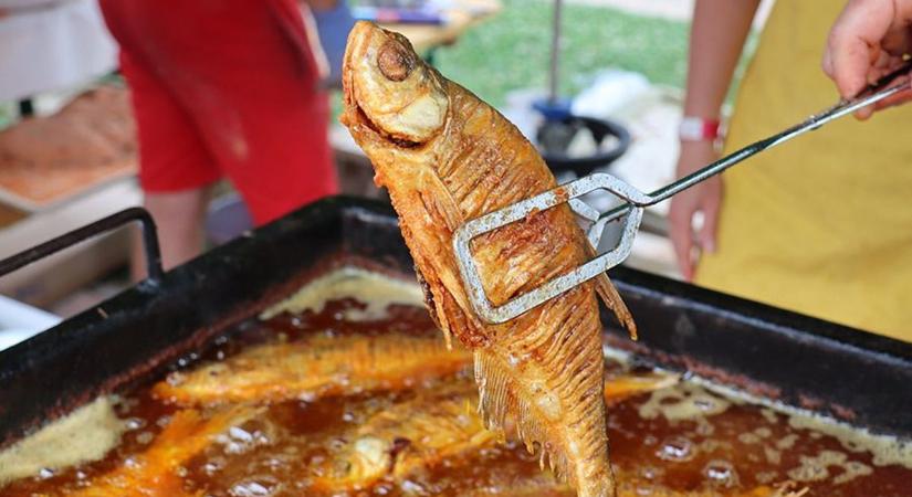 Gasztroparádé! Muzsikaszó mellett lubickolnak a forró olajban a halak